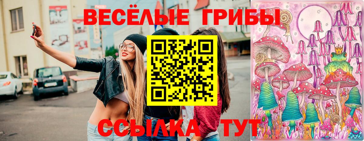 Псилоцибиновые грибы ЛСД Киселёвск