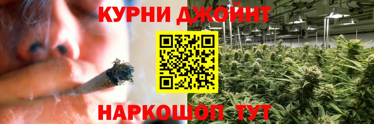 Бошки марихуана тримм  Вход с VPN  Марихуана MAZAR  Киселёвск  Марихуана план  Бошки Шишки SATIVA & INDICA 